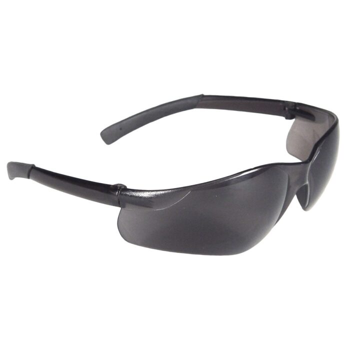 200 Series Safety Glasses E1200SAF Price in Doha Qatar