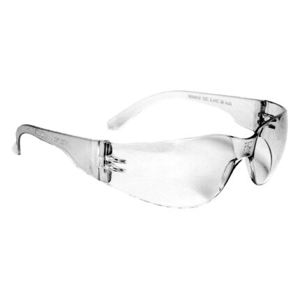 100 Series Safety Glasses  E1100SAF Price in Doha Qatar