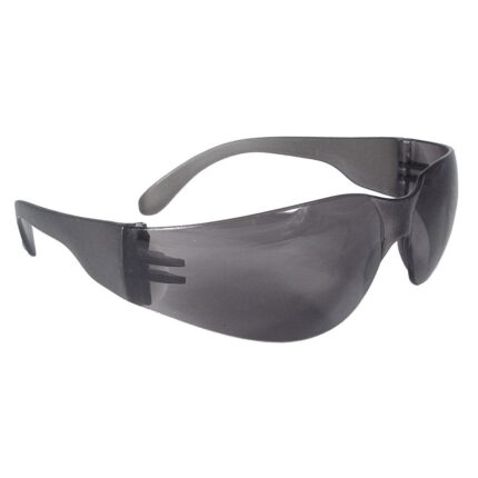 100 Series Safety Glasses  E1100CAF Price in Doha Qatar
